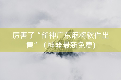 厉害了“雀神广东麻将软件出售”（神器最新免费)