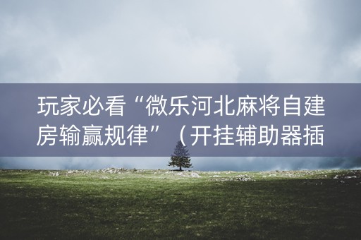 玩家必看“微乐河北麻将自建房输赢规律”（开挂辅助器插件)