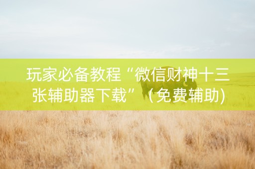 玩家必备教程“微信财神十三张辅助器下载”（免费辅助)
