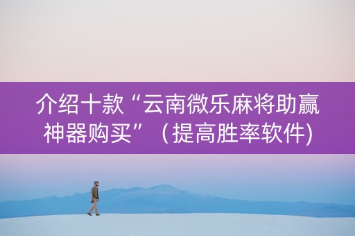介绍十款“云南微乐麻将助赢神器购买”（提高胜率软件)