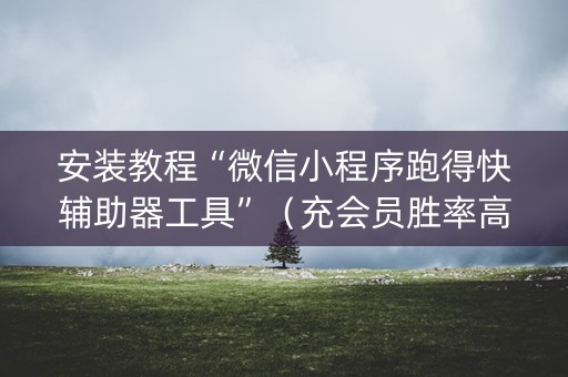 安装教程“微信小程序跑得快辅助器工具”（充会员胜率高)