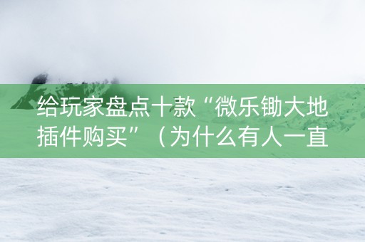 给玩家盘点十款“微乐锄大地插件购买”（为什么有人一直赢)