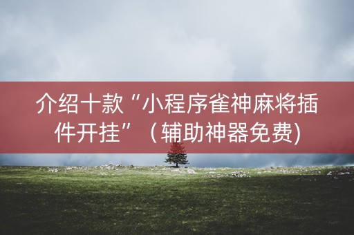 介绍十款“小程序雀神麻将插件开挂”（辅助神器免费)