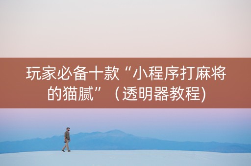 玩家必备十款“小程序打麻将的猫腻”（透明器教程)