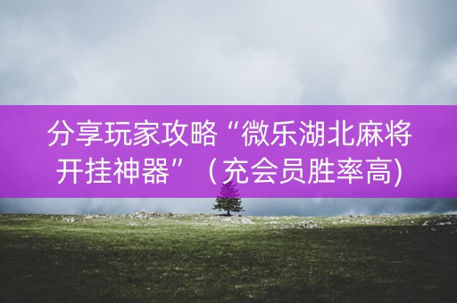 分享玩家攻略“微乐湖北麻将开挂神器”（充会员胜率高)