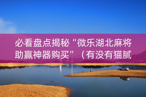 必看盘点揭秘“微乐湖北麻将助赢神器购买”（有没有猫腻)