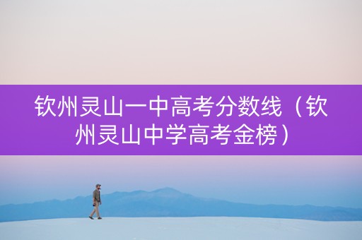 钦州灵山一中高考分数线（钦州灵山中学高考金榜）