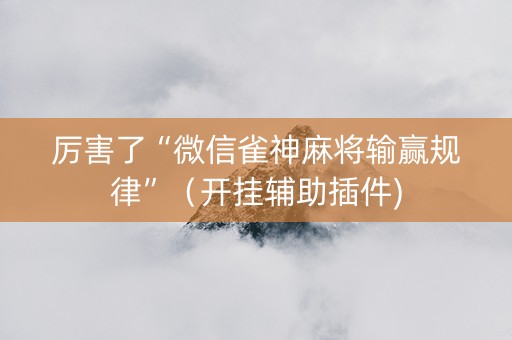 厉害了“微信雀神麻将输赢规律”（开挂辅助插件)