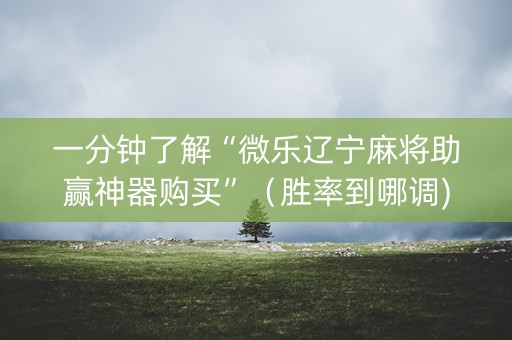 一分钟了解“微乐辽宁麻将助赢神器购买”（胜率到哪调)