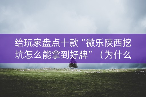 给玩家盘点十款“微乐陕西挖坑怎么能拿到好牌”（为什么有人一直赢)