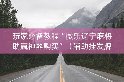 玩家必备教程“微乐辽宁麻将助赢神器购买”（辅助挂发牌规律)