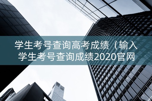 学生考号查询高考成绩（输入学生考号查询成绩2020官网）