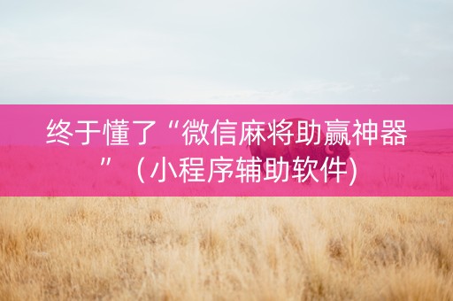 终于懂了“微信麻将助赢神器”（小程序辅助软件)