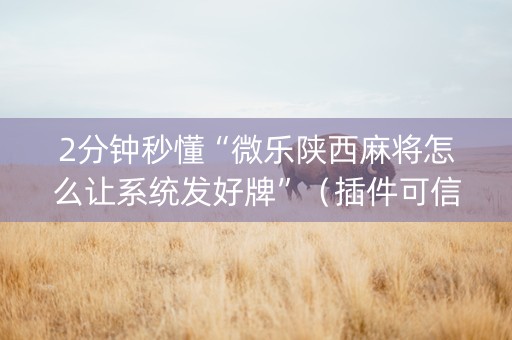 2分钟秒懂“微乐陕西麻将怎么让系统发好牌”（插件可信吗)