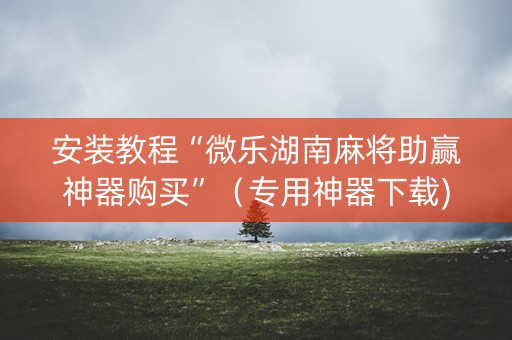 安装教程“微乐湖南麻将助赢神器购买”（专用神器下载)