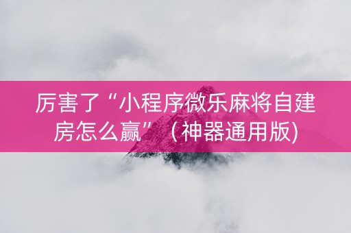 厉害了“小程序微乐麻将自建房怎么赢”（神器通用版)