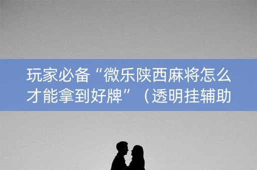 玩家必备“微乐陕西麻将怎么才能拿到好牌”（透明挂辅助器)