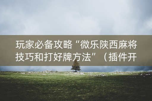 玩家必备攻略“微乐陕西麻将技巧和打好牌方法”（插件开挂免费AI)