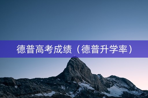 德普高考成绩（德普升学率）