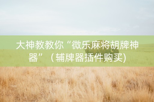 大神教教你“微乐麻将胡牌神器”（辅牌器插件购买)