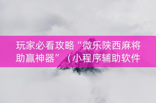 玩家必看攻略“微乐陕西麻将助赢神器”（小程序辅助软件)