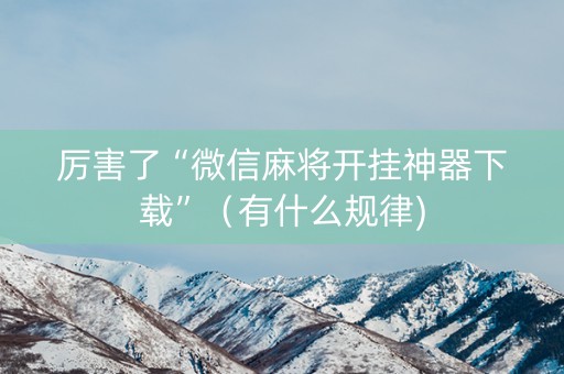 厉害了“微信麻将开挂神器下载”（有什么规律)