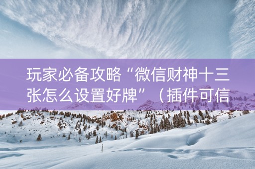 玩家必备攻略“微信财神十三张怎么设置好牌”（插件可信吗)
