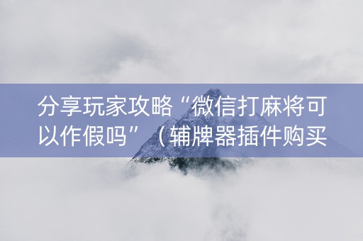 分享玩家攻略“微信打麻将可以作假吗”（辅牌器插件购买)