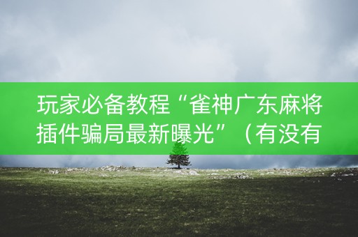 玩家必备教程“雀神广东麻将插件骗局最新曝光”（有没有猫腻)