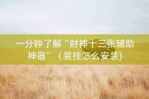 一分钟了解“财神十三张辅助神器”（装挂怎么安装)