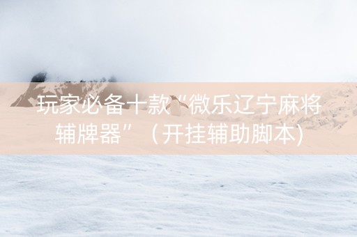 玩家必备十款“微乐辽宁麻将辅牌器”（开挂辅助脚本)