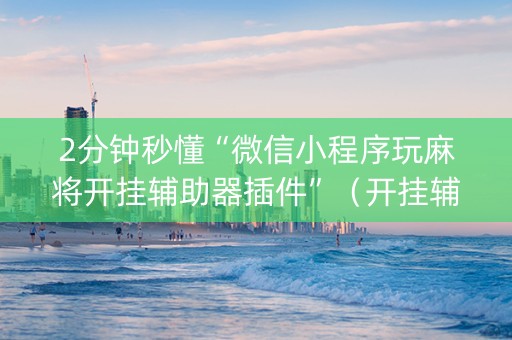 2分钟秒懂“微信小程序玩麻将开挂辅助器插件”（开挂辅助插件)