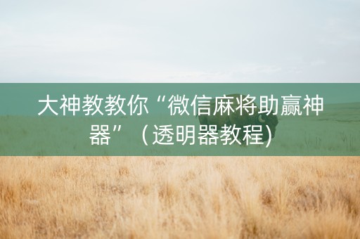大神教教你“微信麻将助赢神器”（透明器教程)