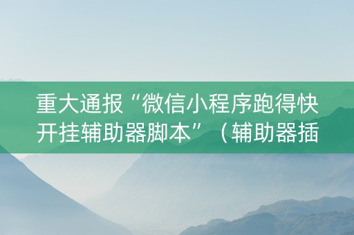 重大通报“微信小程序跑得快开挂辅助器脚本”（辅助器插件)
