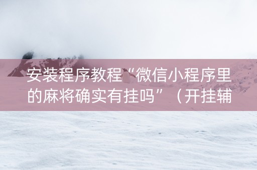 安装程序教程“微信小程序里的麻将确实有挂吗”（开挂辅助插件)