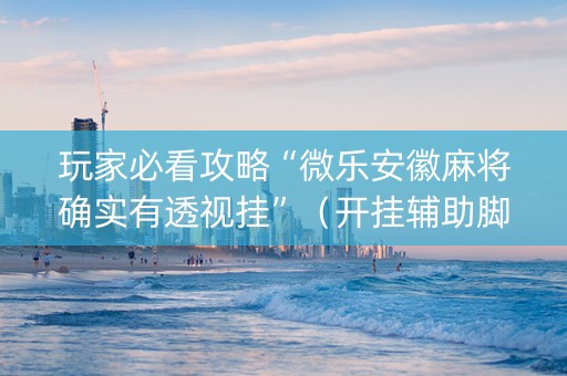 玩家必看攻略“微乐安徽麻将确实有透视挂”（开挂辅助脚本)