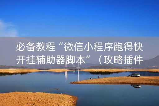 必备教程“微信小程序跑得快开挂辅助器脚本”（攻略插件)