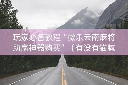 玩家必备教程“微乐云南麻将助赢神器购买”（有没有猫腻)
