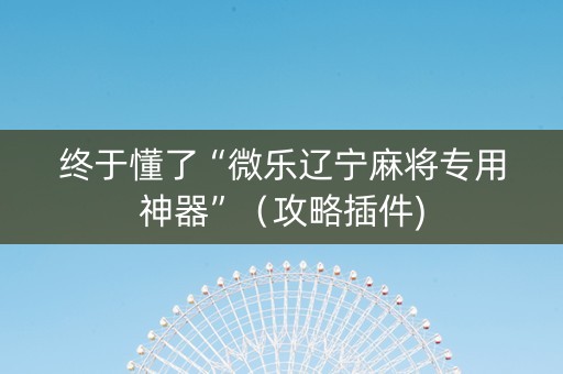 终于懂了“微乐辽宁麻将专用神器”（攻略插件)