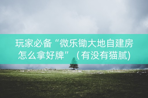 玩家必备“微乐锄大地自建房怎么拿好牌”（有没有猫腻)