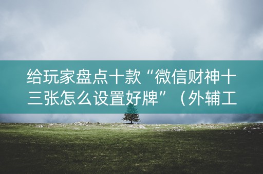 给玩家盘点十款“微信财神十三张怎么设置好牌”（外辅工具)