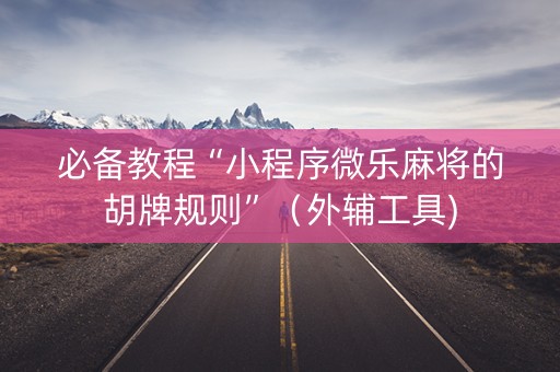 必备教程“小程序微乐麻将的胡牌规则”（外辅工具)