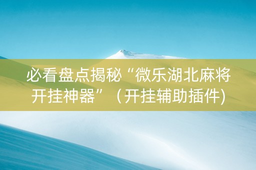 必看盘点揭秘“微乐湖北麻将开挂神器”（开挂辅助插件)