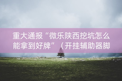 重大通报“微乐陕西挖坑怎么能拿到好牌”（开挂辅助器脚本)