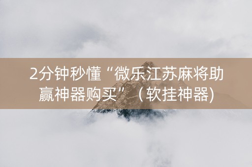 2分钟秒懂“微乐江苏麻将助赢神器购买”（软挂神器)