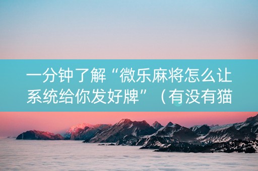 一分钟了解“微乐麻将怎么让系统给你发好牌”（有没有猫腻)