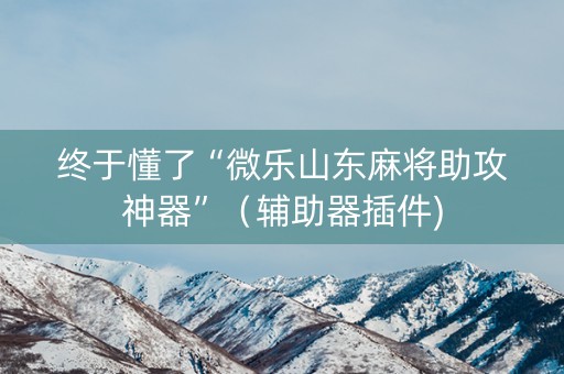 终于懂了“微乐山东麻将助攻神器”（辅助器插件)