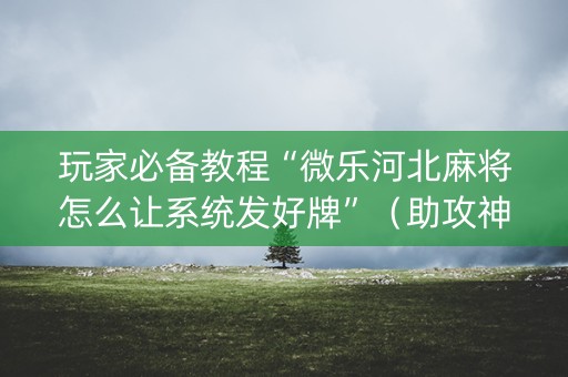 玩家必备教程“微乐河北麻将怎么让系统发好牌”（助攻神器)