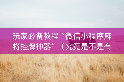玩家必备教程“微信小程序麻将控牌神器”（究竟是不是有挂)