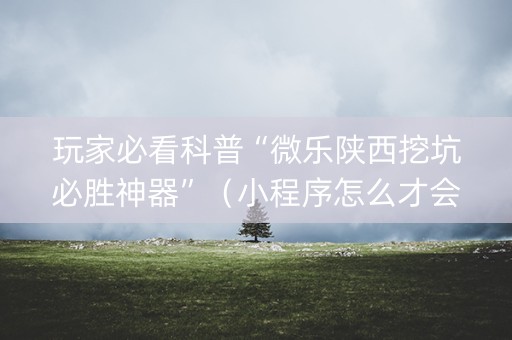 玩家必看科普“微乐陕西挖坑必胜神器”（小程序怎么才会赢)